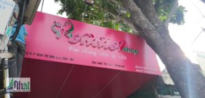 Thiết kế shop đồ lót